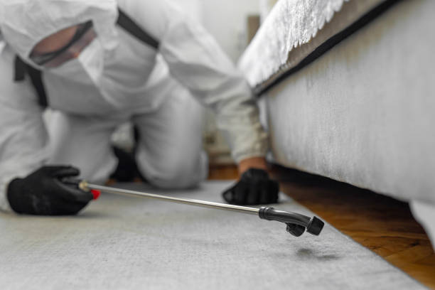 Professional Bed Bug Control technician working in Seagraves, TX